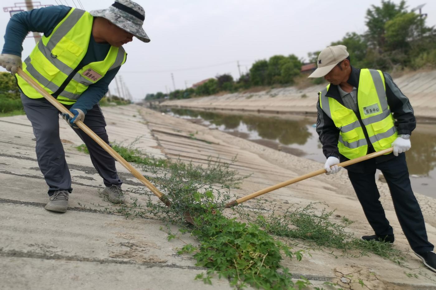 服務(wù)中心護(hù)坡除草